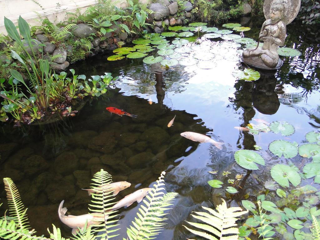 Heaven in Bali Appartement Penginyahan Buitenkant foto
